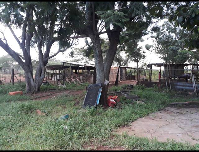 171HA FARM FOR SALE IN LOUIS TRICHARDT RURAL